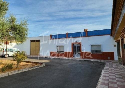 Properties in Fuente de Piedra