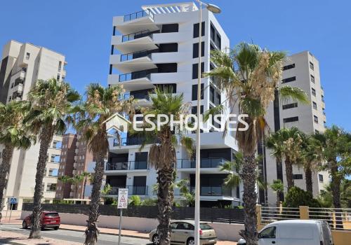 Venta en Guardamar del Segura
