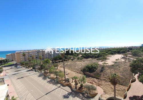 Properties in Guardamar del Segura