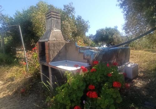 Plots in Tarragona