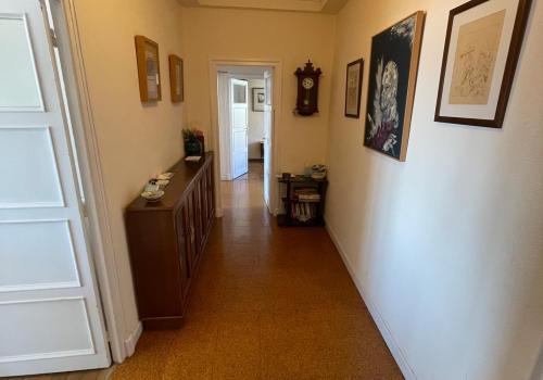 Properties in Oviedo
