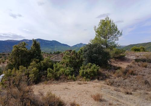 Building Sites in Teruel