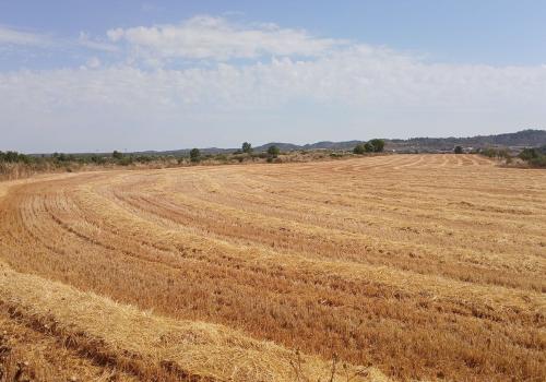 Lands in Castelserás