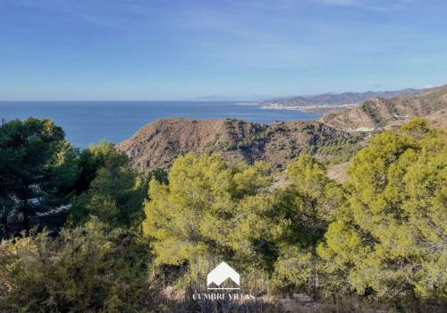 Plot for sale in Los Cármenes - Cerro Gordo - 2058