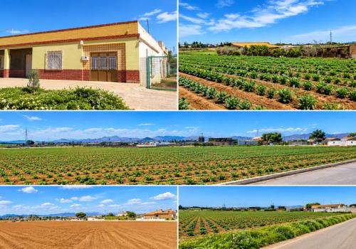 Properties in Cartagena