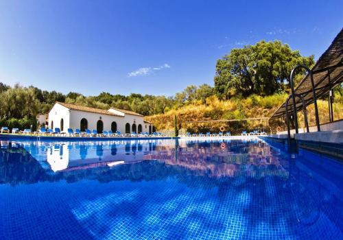 Properties in Aracena