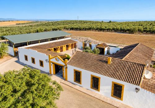 Viviendas de Segunda mano en Sevilla