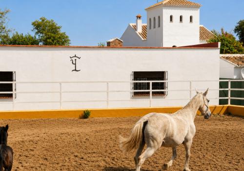 Viviendas en Sevilla