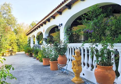 Sotogrande منزل للبيع - RZZ002F3