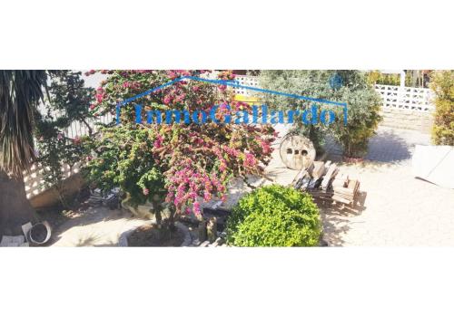 Venta en Vélez-Málaga