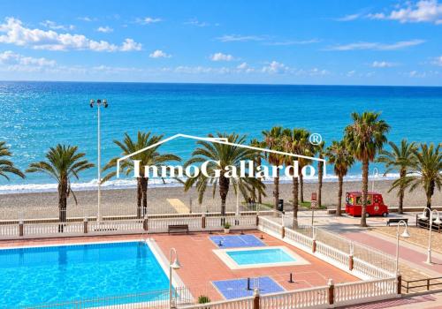 Properties in Algarrobo