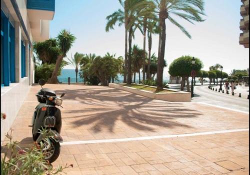 Premises in Marbella
