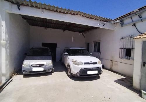 Properties in Elche