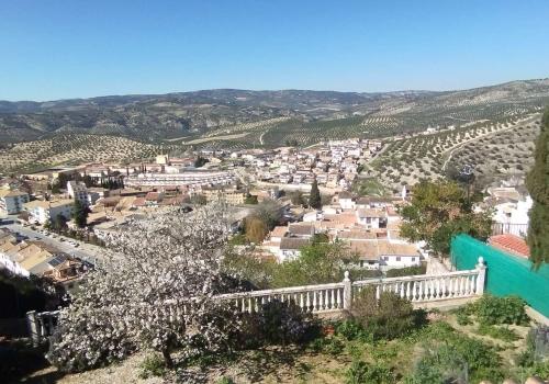 Homes in Granada