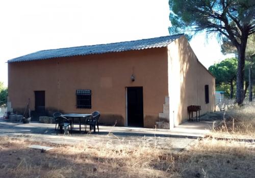 Venta en Villanueva de Duero