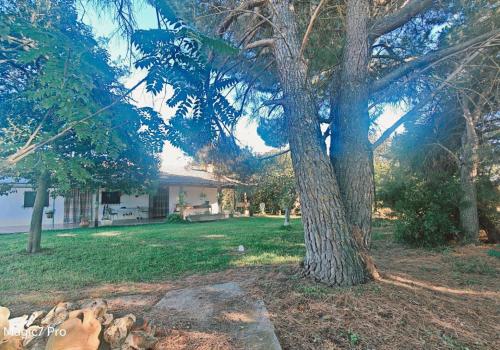 Fincas en Zamora