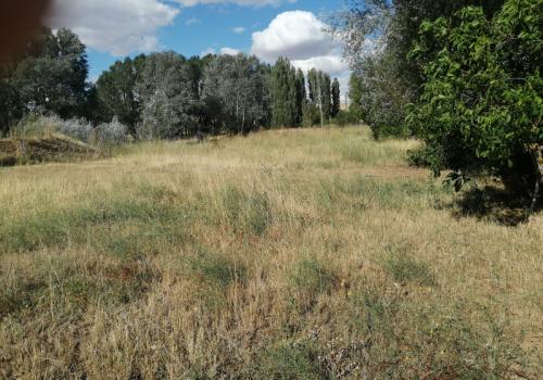 Venta en La Hiniesta
