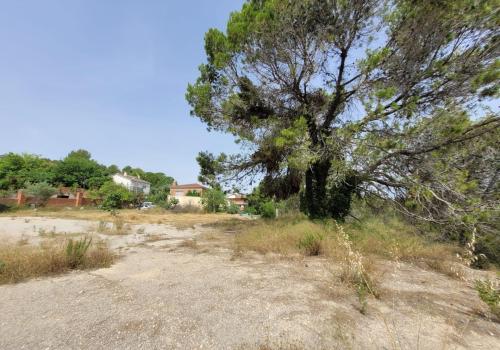 Lands in Masquefa