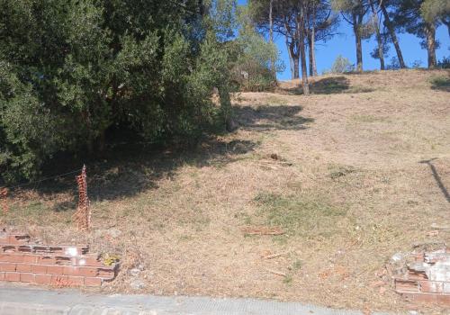 Properties in Abrera