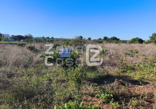 Properties in Alzira