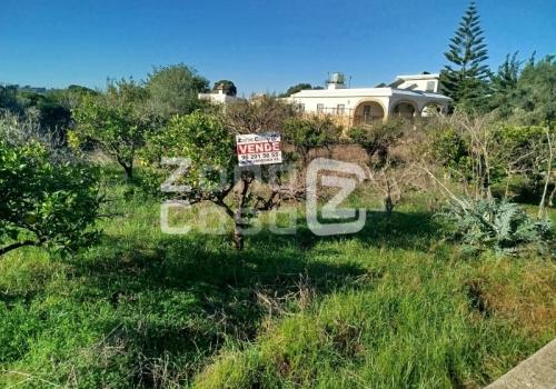 Properties in Alzira