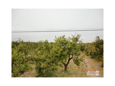 Country property for sale in Benicull de Xúquer - 00606 Country property for sale in Benicull de Xúquer - 00606