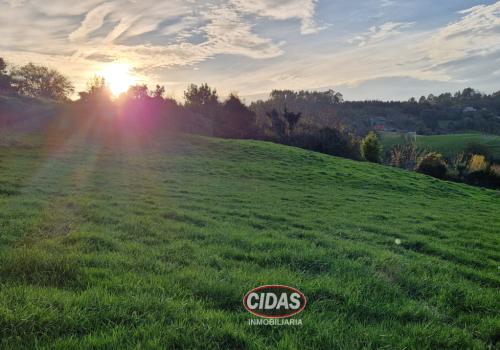 Fincas en Asturias