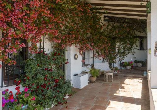 Inmuebles en Alhaurín el Grande