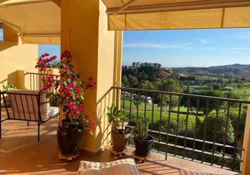Homes in Marbella