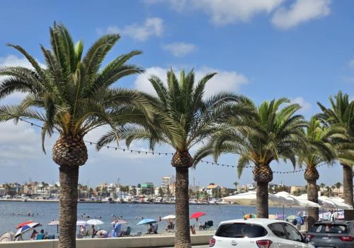 Inmuebles en San Pedro del Pinatar
