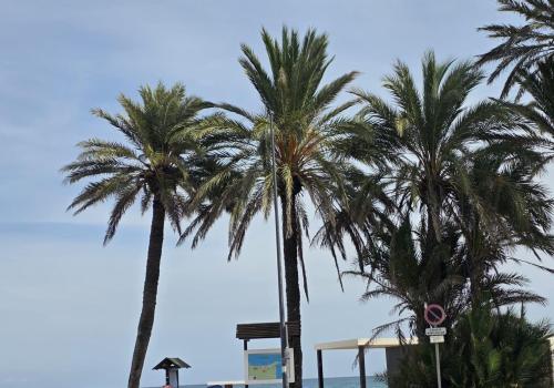 Venta en Orihuela