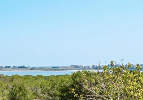 Homes in Torrevieja