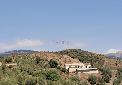 Lands in Canillas de Albaida