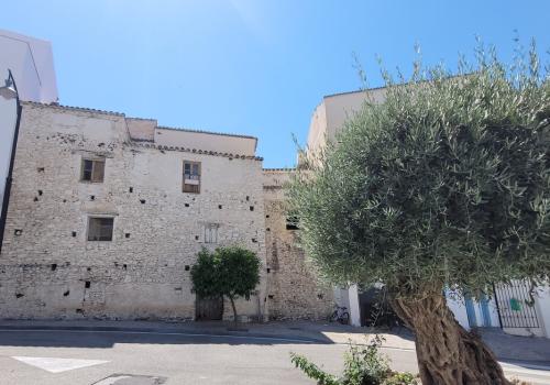 Properties in Málaga