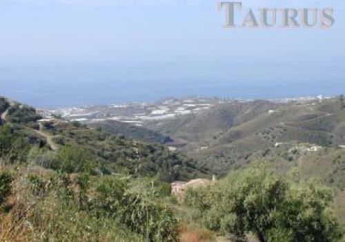 Lands in Sayalonga