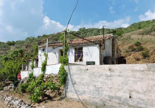 Inmuebles en Málaga