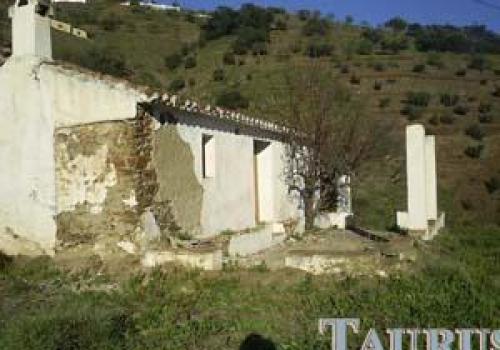 Lands in Sayalonga