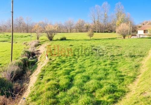 Plots in Asturias