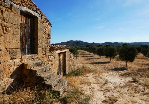 Country Properties in Maella