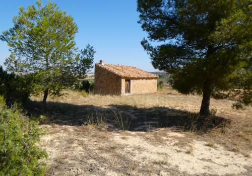 Fincas en Zaragoza