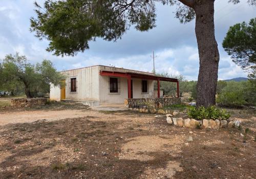 Properties in L' Ametlla de Mar