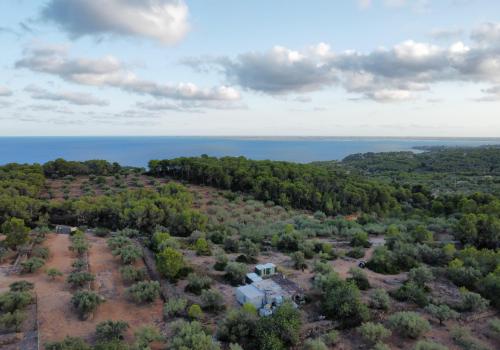 Fincas en Tarragona