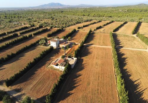 Country Properties in L' Ampolla