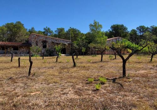 Fincas en El Perelló