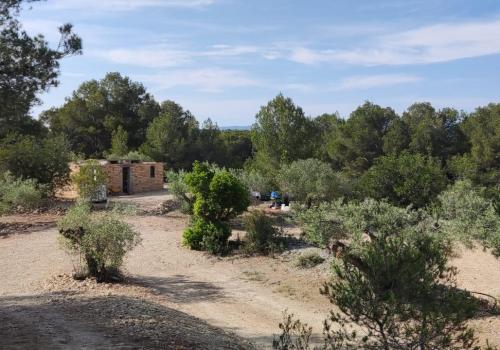 Properties in L' Ametlla de Mar