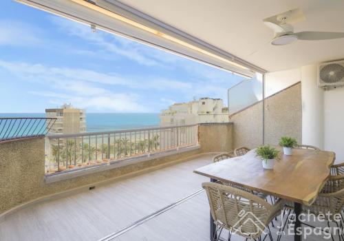 Properties in Elche