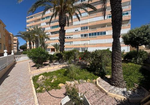 Estudios en Alicante