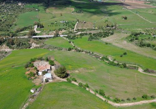 Venta en Montecorto