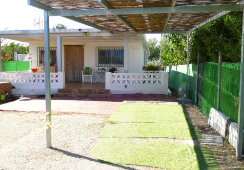 Properties in Oliva
