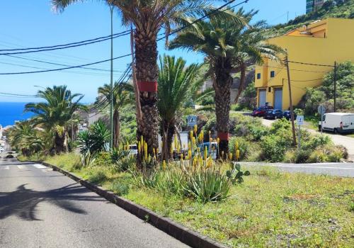 Inmuebles en Las Palmas